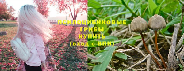 бутират Гусь-Хрустальный