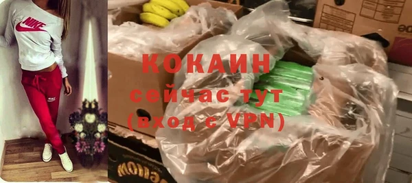 a pvp Гусев