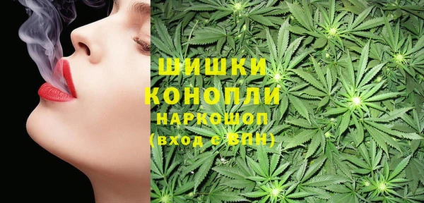 бутират Гусь-Хрустальный